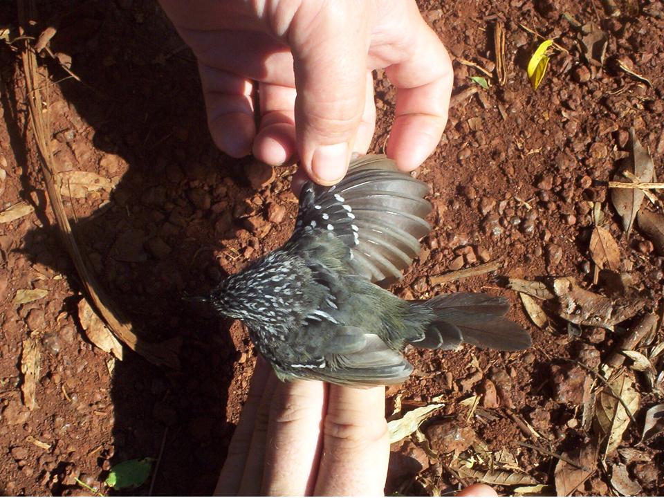 FIGURE 3 FIGURE 3